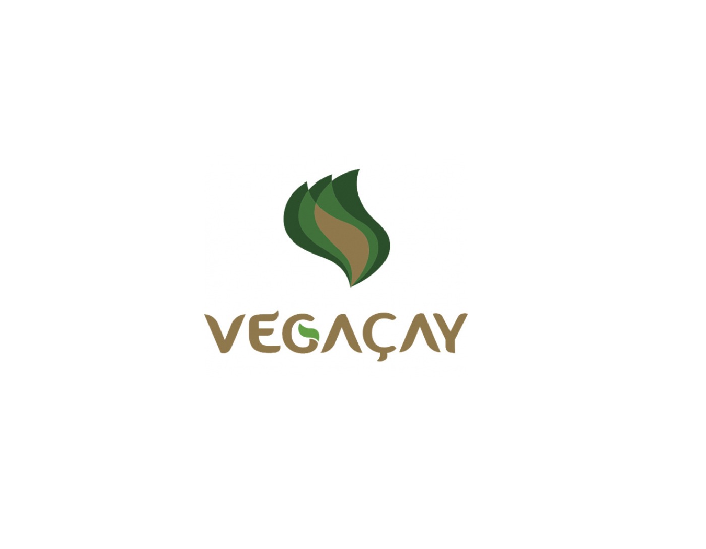 Vegaçay